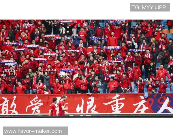 上海排球队的蜕变之路:从传统到现代的全新纪实探索 上海排球队的蜕变之路:从传统到现代的全新纪实探索