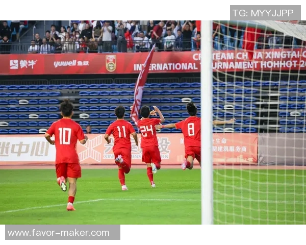 中国足球明星为何难以赢得球迷喜爱深度解析与反思