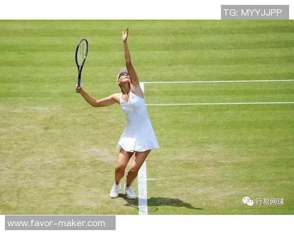 广州网球队技术表现分析与联赛表现的深度解读