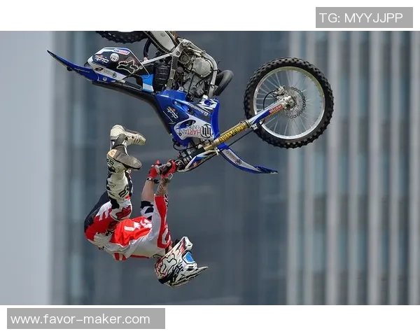 数据分析:杭州极限运动队的实力表现 数据分析:杭州极限运动队的实力表现