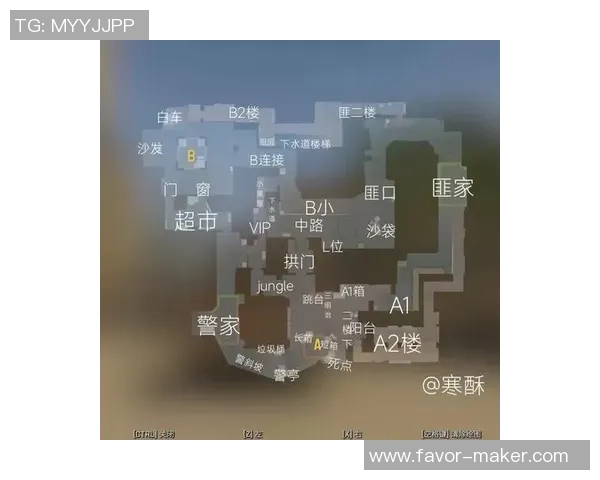 CS_GO热点：解读LNG的区域防守