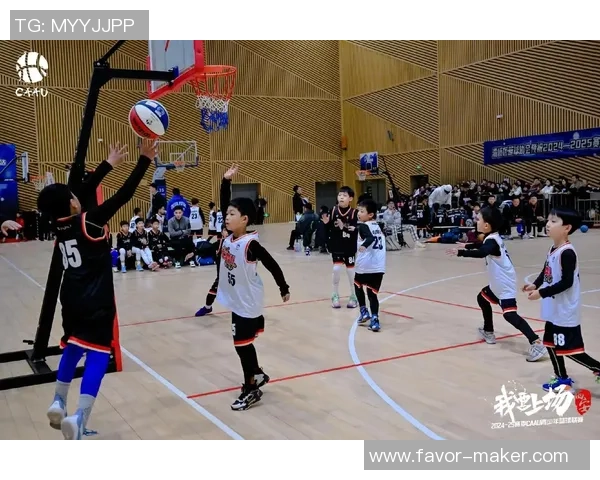 专业解读：西安篮球队的控制打法