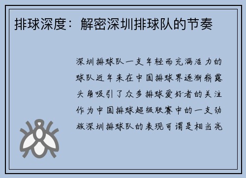 排球深度：解密深圳排球队的节奏