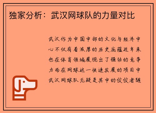 独家分析：武汉网球队的力量对比