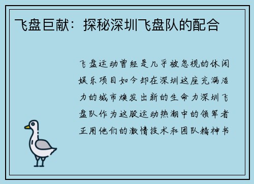 飞盘巨献：探秘深圳飞盘队的配合