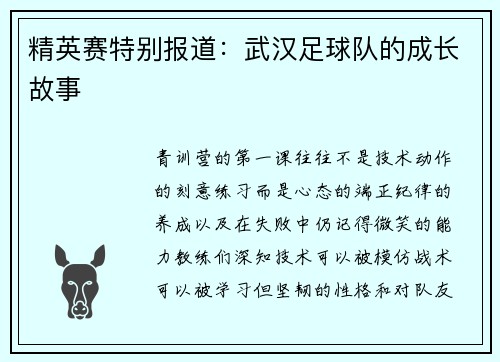 精英赛特别报道：武汉足球队的成长故事