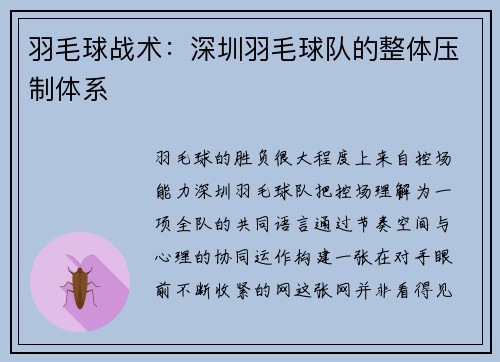 羽毛球战术：深圳羽毛球队的整体压制体系