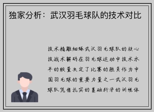 独家分析：武汉羽毛球队的技术对比
