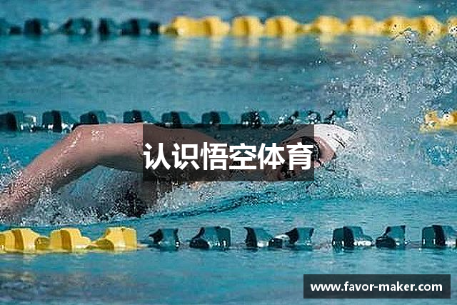 认识悟空体育